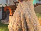 Bridal Wedding Dress (Used Once)
