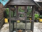 Brids Cage