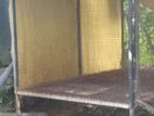 brids cage