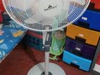 Bright Fan