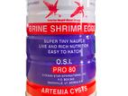 Brine Shrimp Eggs Artemia