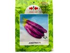 Brinjal Eggplant Seeds Wambatu Bija