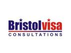 Visa Consultant