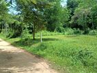 බස් මාර්ගයට ආසනයේ ඉඩම විකිණීම හොරණ