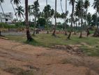 බස් පාරෙන්ම පැල්ලන්දෙණිය හන්දියෙන් පදිංචියට සුපිරි ඉඩමක්