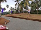 බස් පාරට 500m දුරින් මීරිගමින් ඔබේ සිහින නිවසට හොදම බිම් කොටසක් විකිණීමට