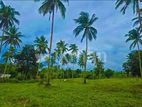 බස් පාරට 500m නුදුරින් මීරිගම නගරයට ආසන්නව අගනා ඉඩමක් විකිණීමට ඇත