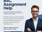 BSc Assignment Help (All Subjects & Modules)