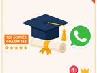 BSc Business Management Assignment Help | Dissertation