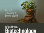 BSc (Hons) Biotechnology