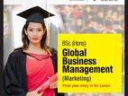 BSc (Hons) Global Business Management (Marketing)