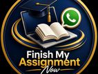 BSc IT Assignment Help -Dissertation Essay