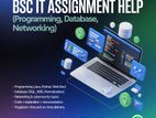 BSc IT Assignment Help