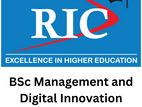 BSC Management and Digital Innovation