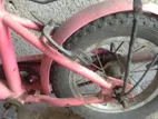 DSI Bicycle