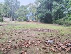 BTM676979: Land for Sale in Katunayake, Gampaha
