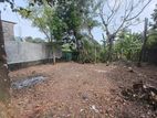 බටකැත්තර හන්දියට ළගින් ඉඩමක් විකිණීමට - Piliyandala