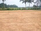 Budget Friendly Luxury Land Plots in Minuwangoda