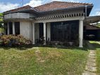 Building for Rent - Negombo