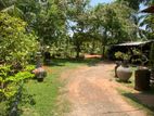 Building for Sale Elpitiya