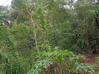 Bulathkohupitiya 84 Perches Land for Sale (sspl-97)