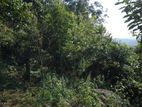 Bulathkohupitiya අක්කර 1 ක ඉඩම / SA 14098