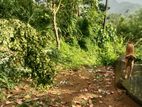 Bulathsinhala House for sale