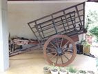 Bull Cart