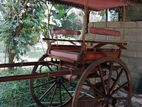 Bullock Cart