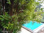 Bungalow for Rent in Panadura ( Hirana)