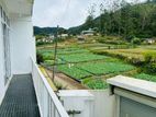 Bungalow For Rent Rooms Nuwaraeliya