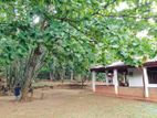 BUNGALOW FOR SALE IN MATALE - CC593