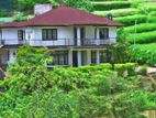 Bunglow For Sale In Nuwara Eliya - CC901