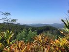 Bunglow with Large Land for Sale in Kandy Hantana 5 Acres ( LPL 1005V)