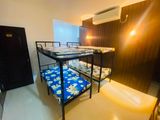Bunker Bed with 2 Single Foam Mattress