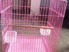 Birds Cage