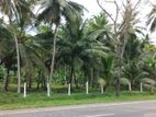 Business land for Sale in Ridi bedi Ella. (SSPL-111)