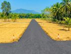 Business Land in Thangalle