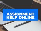 Business Marketing Psychology HRM Project Management Help