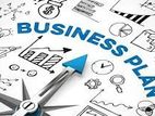 Business Plan Services - Island Wide