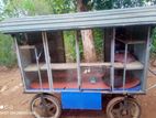 Street Food Cart