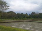 Buttala 2 Acres with 6 property for Agro Tourism on Lease