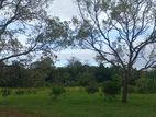 Buttala 2 Acres with 6 property for Agro Tourism on Sale