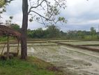 Buttala 2 Acres with 6 reservation property for Tourism on Sale
