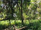 Butthala Land for Sale