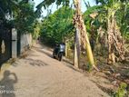 බුත්තල දුටුගැමුණු පාසල් සීමාව තුල පිහිටි ඉඩම විකිනීමට
