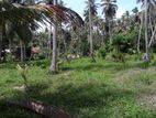 Land for Sale in Marawila