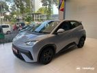 BYD ATTO 1 for Rent