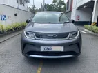 BYD Dolphin 2025