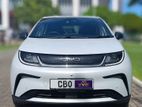 BYD Dolphin for Rent